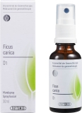PHYTOMED GEMMO Ficus carica liq 1 D spr 30 ml