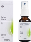 PHYTOMED GEMMO Rubus idaeus liq D 1 Spr 30 ml