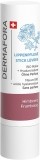 DERMAFORA stick lèvres framboise, 4 g