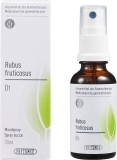 PHYTOMED GEMMO Rubus fruticosus liq D 1 Spr 30 ml