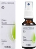 PHYTOMED GEMMO Rubus idaeus liq 1 D spr 30 ml