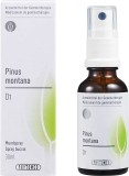 PHYTOMED GEMMO Pinus montana liq 1 D spr 30 ml