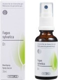 PHYTOMED GEMMO Fagus sylvatica liq D 1 Spr 30 ml