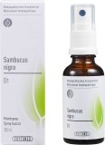 PHYTOMED GEMMO Sambucus nigra liq 1 D spr 30 ml