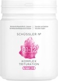 PHYTOMED SCHÜSSLER Kompl Triturat Nr1-12 500 g