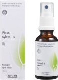 PHYTOMED GEMMO Pinus sylvestris liq D 2 Spr 30 ml