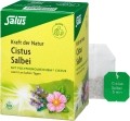 SALUS Cistus Salbei Tee Bio sachets 15 pièces