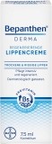 Bepanthen Derma Regenerierende Lippencreme