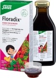 Floradix Eisen + Vitamine für Kinder, 250 ml