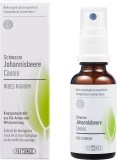 PHYTOMED Knospenextrakt Schwarze Johannisbeere Spray, 30 ml