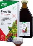 Floradix Eisen + Vitamine Profit Pack, 700 ml