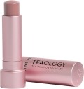 TEAOLOGY Tea Balm Tinted Lip Treatment Vanilla Tea, 4 g