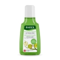 RAUSCH Anti-Pollution Shampoo mit Schweizer Apfel Reisegrösse, 40 ml