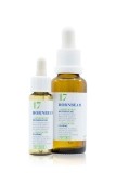 PHYTOMED Bachblüten No17 Weissbuche Flasche, 10 ml