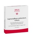 WALA Euphrasia/Rosae Augentropfen Monodosen, 5 x 0.5 ml