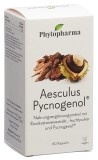 Phytopharma Aesculus Pycnogenol Kapseln, 60 Stück
