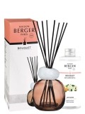 MAISON BERGER Duftbouquet Mineral Pflaume & Duft Lady Flower180 ml