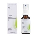 PHYTOMED GEMMO Corylus avellana liquid D1 Spray, 30 ml