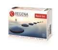 REGENAPLEX Basis Set Tropfen, 4 x 15 ml
