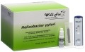WILLI FOX Test sanguin Helicobacter Pylori, 20 pièces