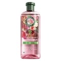 HERBAL ESSENCES Shampoo Blütensanft Rosenduft Flasche, 350 ml