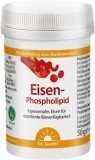 Dr. Jacob's fer-phospholipide poudre mangue, 50 g