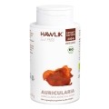 HAWLIK Auricularia Extrakt Kapseln, 240 Stück