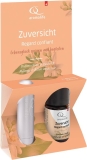 Aromalife Lebensglück Zuversicht Duftmischung mit Riechstift Alu grau, 5 ml