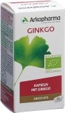 ARKOCAPS Ginkgo capsules bio 45 pièces