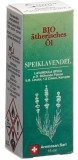 AROMASAN Speiklavendel Ätherisches Öl BIO, 15ml