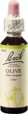 Bachblüten Original Olive No23