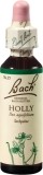 FLEURS DE BACH original holly no15 20 ml