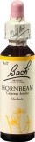 FLEURS DE BACH original hornbeam no17 20 ml