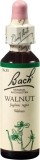 FLEURS DE BACH original walnut no33 20 ml
