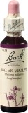 FLEURS DE BACH original water violet no34 20 ml