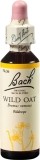 FLEURS DE BACH original wild oat no36 20 ml