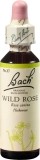 FLEURS DE BACH original wild rose no37 20 ml