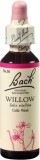 FLEURS DE BACH original willow no38 20 ml