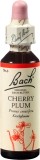 Bachblüten Original Cherry Plum No06