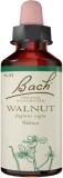 Bachblüten Original Walnut No33, 10 ml