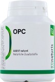 Bionaturis OPC Traubenkerne Kapseln 100 mg, 120 Stück
