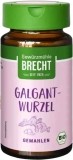 Brecht Galgantwurzel gemahlen, 25 g