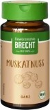 Brecht Muscade entière, 15.3 g