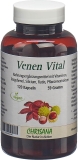 CHRISANA Venen Vital Kapseln, 120 Stück