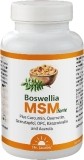 Dr. Jacob's Boswellia MSM forte Weihrauch Tabletten, 90 Stück