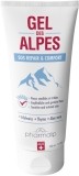 PHARMALP Gel des Alpes Tube, 100 ml