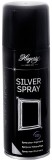 Hagerty Silver Spray aerosol