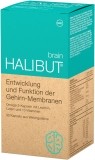Merz Halibut brain Kapseln