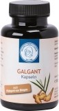 HILDEGARDS LADEN Galgant Kapseln, 90 Stück