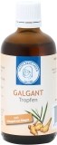 HILDEGARDS LADEN Galgant Tropfen, 50 ml
